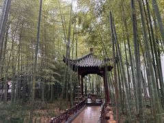 -绳金塔