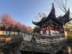 -庾园