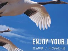 -黑龙江扎龙生态旅游区