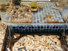 -天盛海鲜烧烤大排档·本地小海鲜·牟平腿穗子(幸福店)