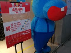 -盒马鲜生(莱蒙都会店)