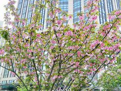 -光启城时尚购物中心