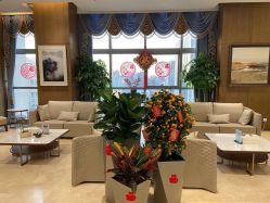 -北京米扬丽格医疗美容·联合丽格鼻整形中心