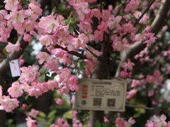 -荆川公园