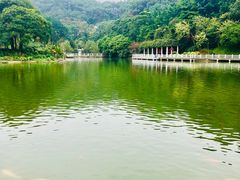 -广州市帽峰山景区