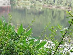 -重庆彩云湖湿地公园
