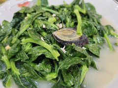 上汤豆苗-快活林食家