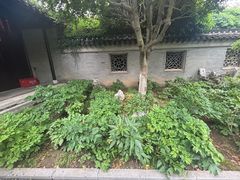 -口岸雕花楼
