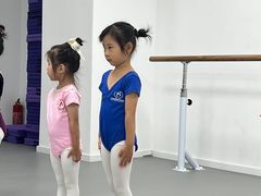 -西安小天鹅艺术团(金花路校区)