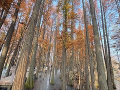 -东湖落雁景区