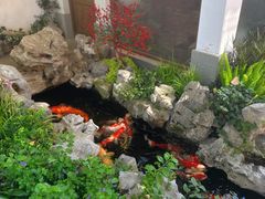 -鲤院·新中式美学·庭院餐厅(夫子庙店)