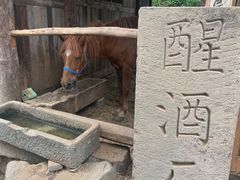 -驿舍·民國老营房院子私房菜(科学会堂店)