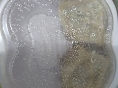 -小杨生煎(成山巴黎春天店)