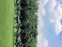 -广州雕塑公园