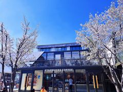 -智慧湾科创园