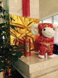 iphone_upload_pic-复旦大学附属妇产科医院(杨浦院区)