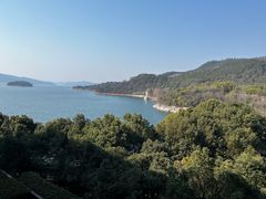 -逸廊大堂吧-下午茶·简餐-千岛湖自由洲际殿