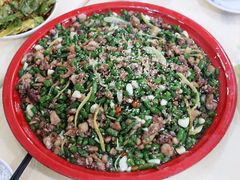 -东吴霸王兔(松青路店)
