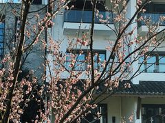 -广富林郊野公园