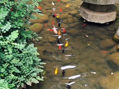 -绣园·茶食宴(湘绣博物馆店)