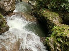 -龙苍沟森林公园
