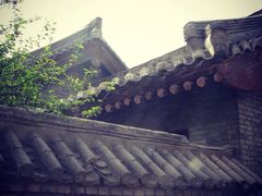 -西安青龙寺遗址景区