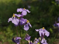 -长春公园(普阳街道)