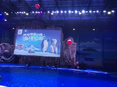 -华夏文旅海洋公园