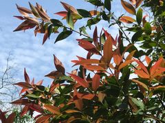 -火炉山森林公园