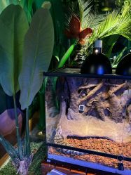 -酷嗒动物文化乐园(cutezoo西溪乐天城店)