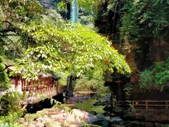 -碧峰峡风景区