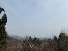 -石老人观光园