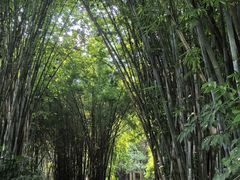 -望江楼公园