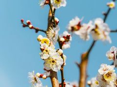 -洛阳市隋唐城遗址植物园