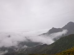 -白草畔自然风景区