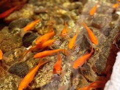 -邈墨茶馆(凤起路店)