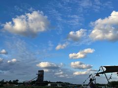 -春花秋色城市公园