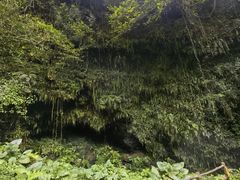 -海口火山口国家地质公园