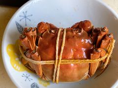 -黄记大闸蟹专卖店·活蟹·醉蟹