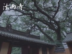 -法雨寺