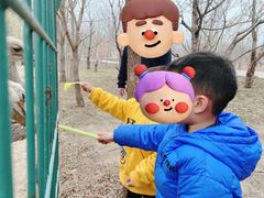 -第五季龙水凤港生态露营农场