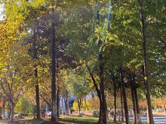 -江南大学(蠡湖校区)