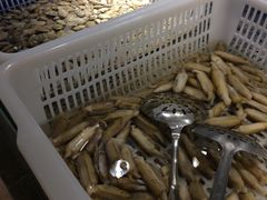 -欢乐牧场海鲜烤肉自助(牡丹园店)