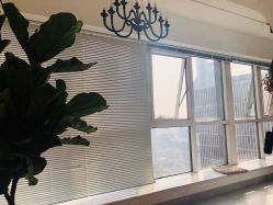 -净漪造型 PURE RIPPLE