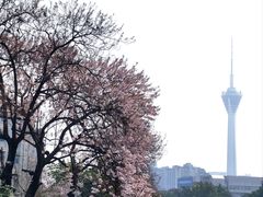 -红星桥(地铁站)