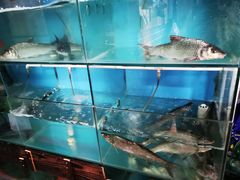 水产区-洞天食府(北大街店)