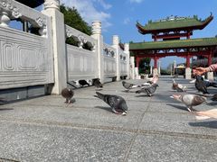 -六祖寺