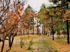 -晋祠公园