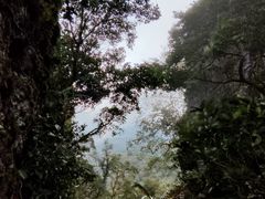 -七仙岭温泉国家森林公园