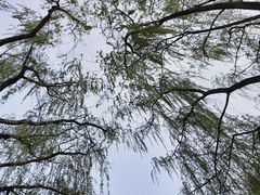 -西安市长乐公园